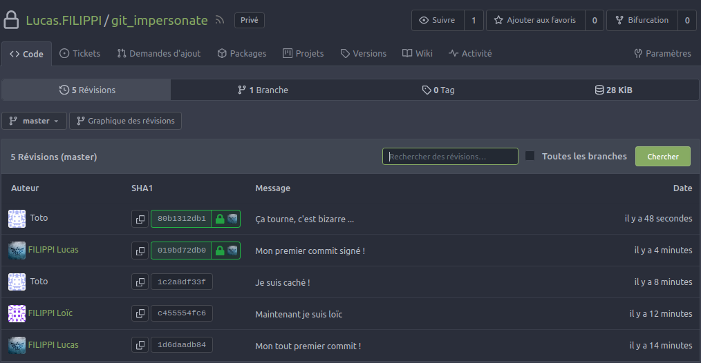 L'ensemble du log du repo